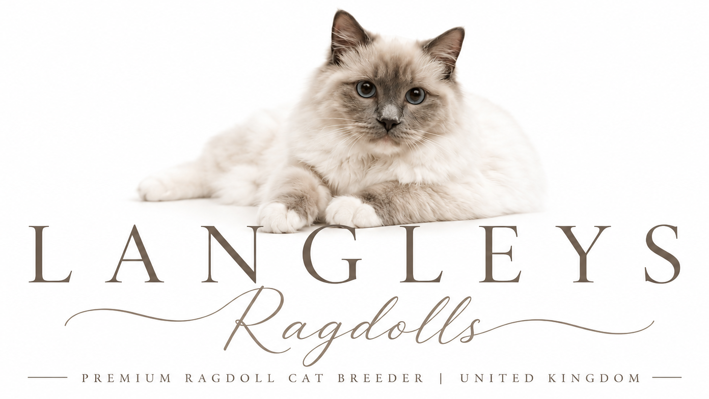Langleys Ragdolls
